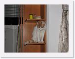 Immagine 008 * 2592 x 1944 * (1.34MB)